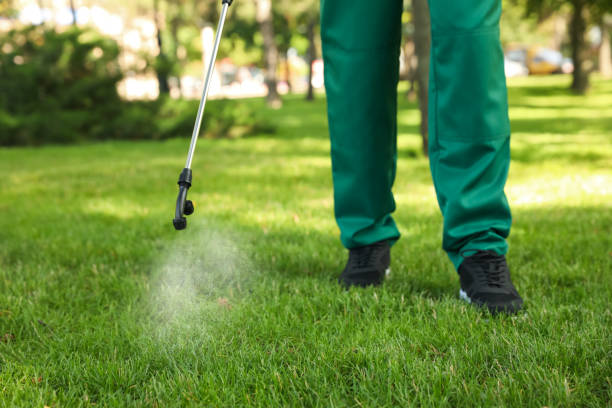 Best Bed Bug Extermination  in Richmond Heights, FL