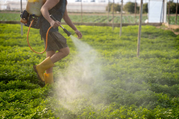 Best Wildlife Control Services  in Richmond Heights, FL