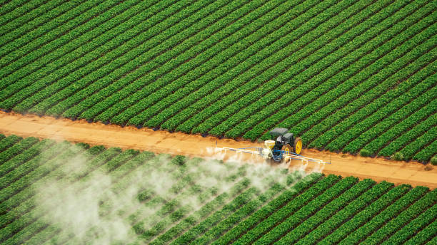 Best Mosquito Control Services  in Richmond Heights, FL