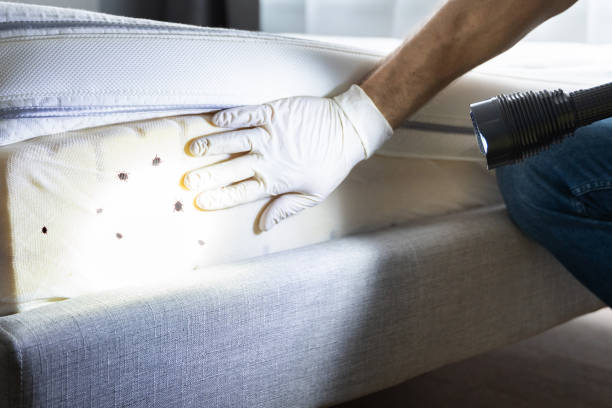Pest Control Cost in Richmond Heights, FL