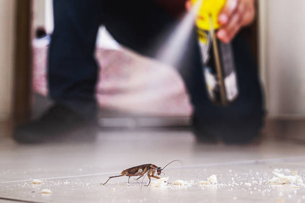 Professional Pest Control in Richmond Heights, FL