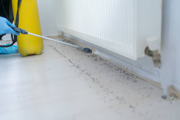Best Pest Prevention Services  in Richmond Heights, FL